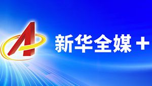 南方冬天羽绒服怎么选配图3